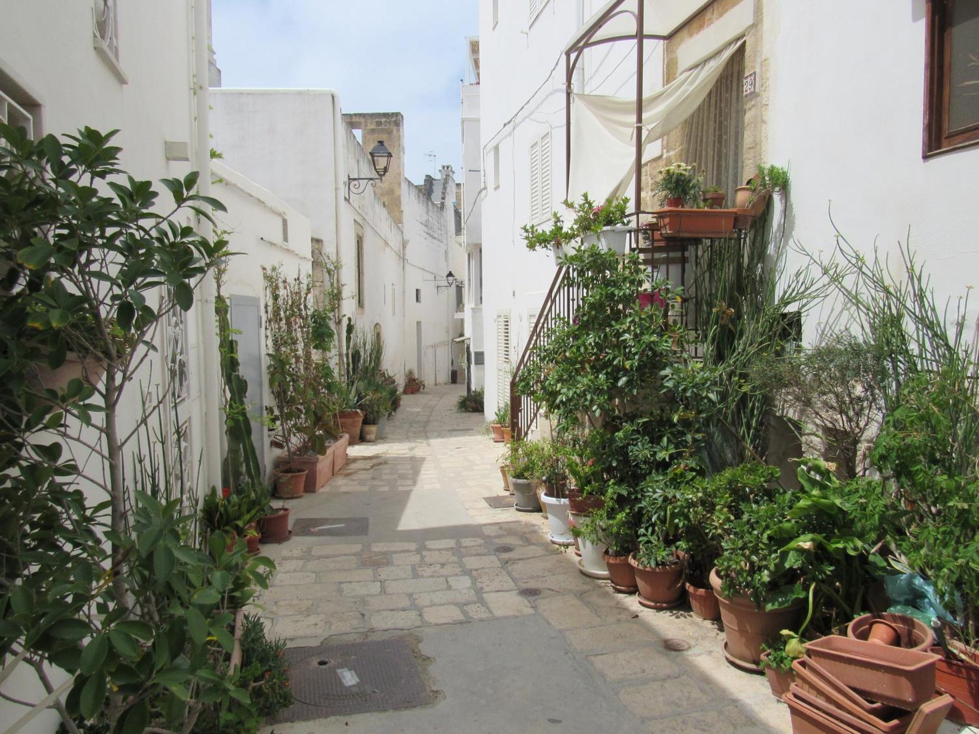 Vicolo Fiorito B&B Polignano a Mare Exterior foto